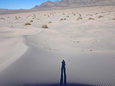 Desert Dry Lake Dunes