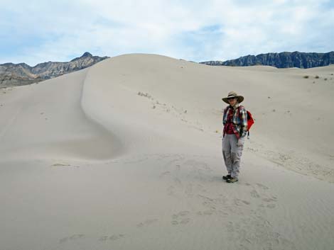 Desert Dry Lake Dunes