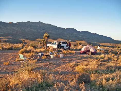 Gass Road Traditional Campsite