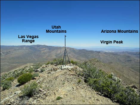 Gass Peak Summit