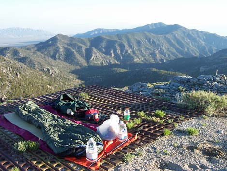 Desert National Wildlife Range