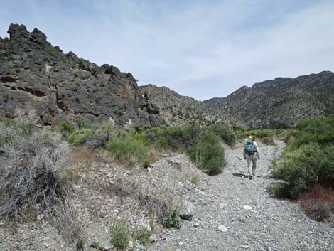 Desert National Wildlife Range