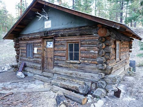 Hidden Forest Cabin