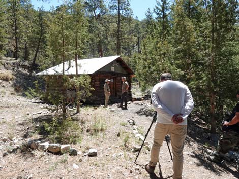 Hidden Forest Cabin Grounds