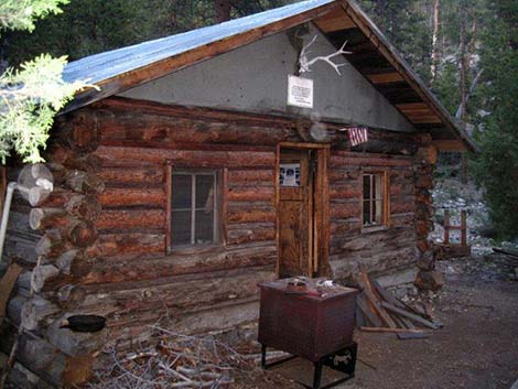 Hidden Forest Cabin Restoration