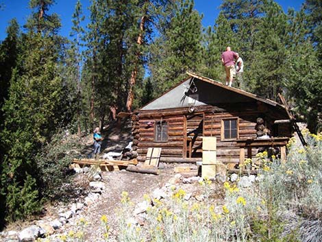 Hidden Forest Cabin