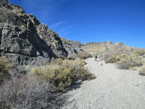 Joe May Canyon Guzzler