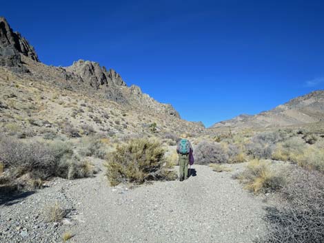 Joe May Canyon Guzzler