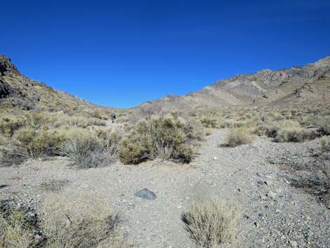 Joe May Canyon Guzzler