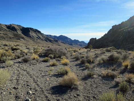 Joe May Canyon Guzzler