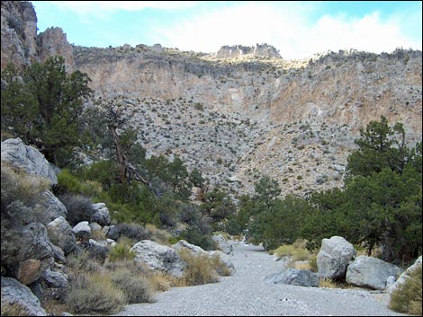 Long Canyon