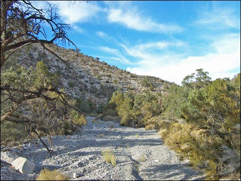 Long Canyon