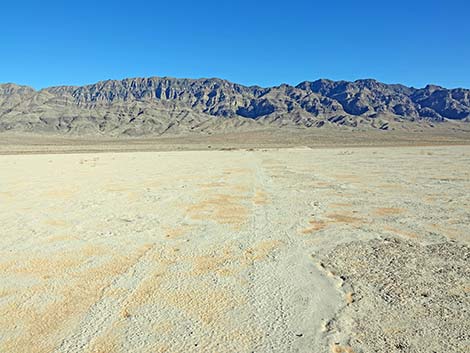 Desert Dry Lake Corral