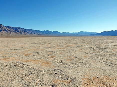 Desert Dry Lake Corral