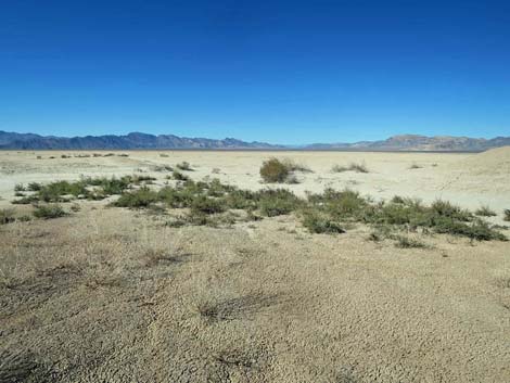 Desert Dry Lake Corral