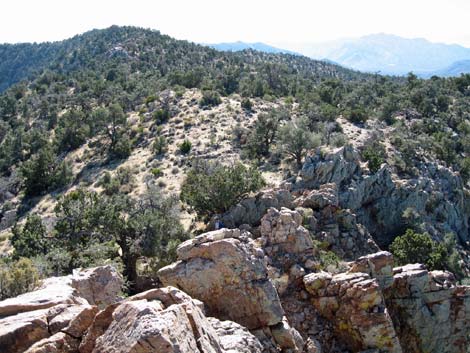 Quartzite Mountain