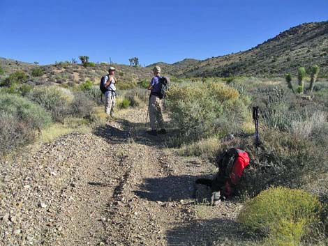 Quartzite Mountain