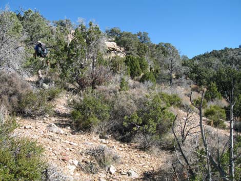 Quartzite Mountain