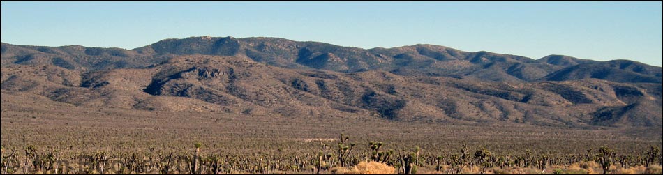 Quartzite Mountain