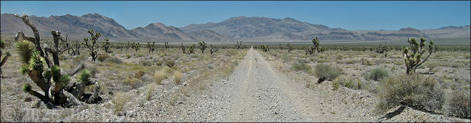 Alamo Road