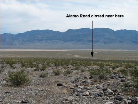 Alamo Road