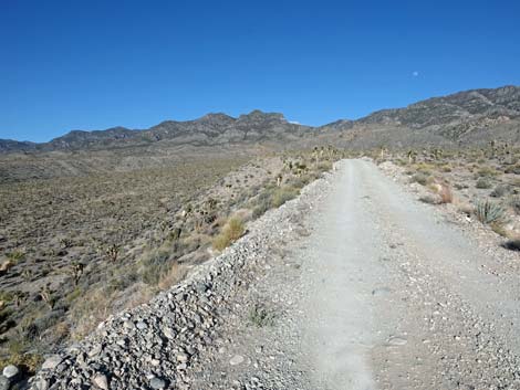 Desert National Wildlife Range