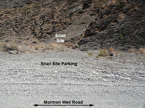 Fossil Ridge Snail Site