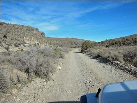 Mormon Well Road