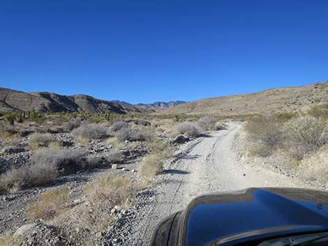 Mormon Well Road