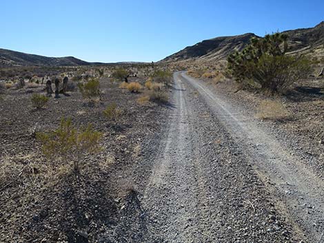 Mormon Well Road