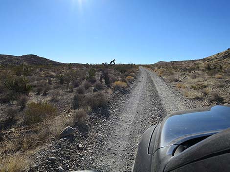 Mormon Well Road