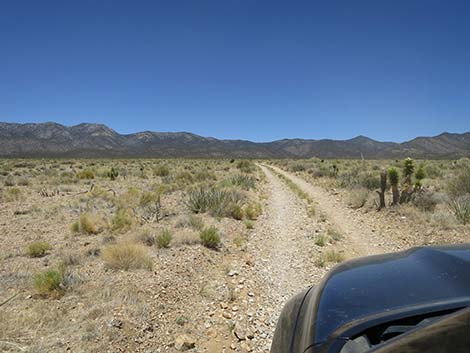 Pine Nut Road