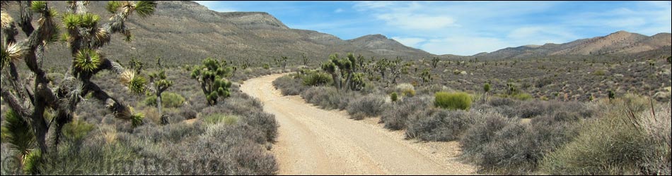 Quail Spring Road