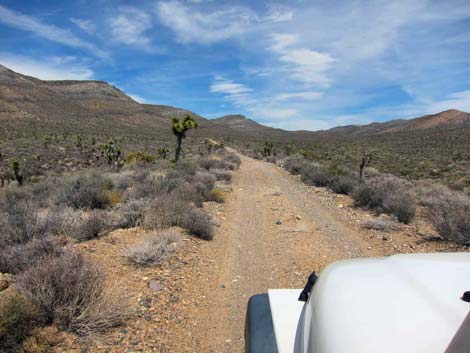 Quail Spring Road