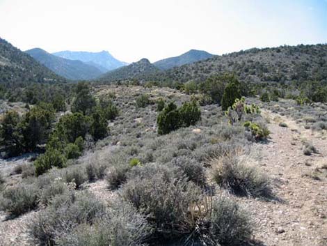 little sawmill peak