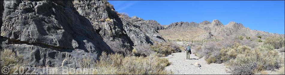 Desert National Wildlife Range