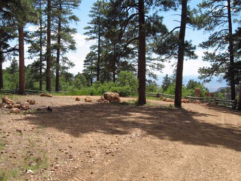 Rainbow Rim Trail