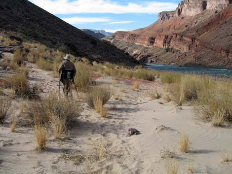 Tonto East Trail