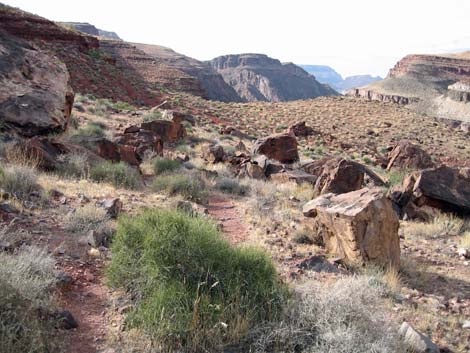 Tonto East Trail