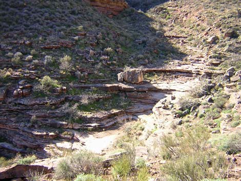 Tonto West Trail