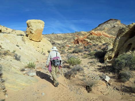 Doodlebug Arch