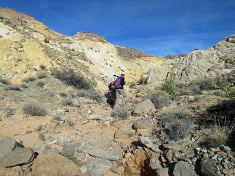 Doodlebug Arch