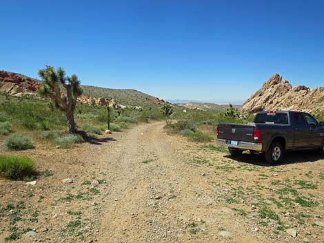 Amber Cat Canyon