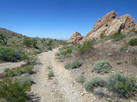 Amber Cat Canyon