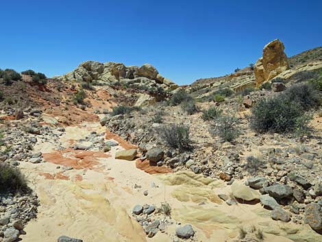 Amber Cat Canyon