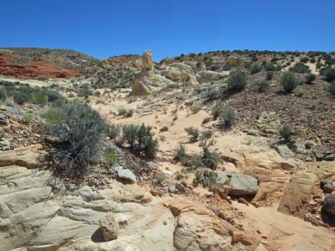 Amber Cat Canyon