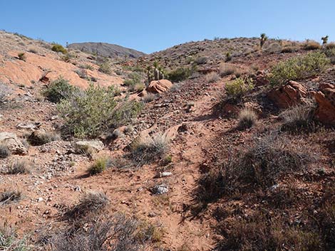 Doodlebug Arch Loop