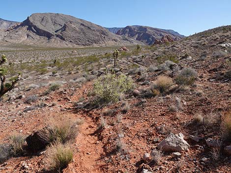 Doodlebug Arch Loop