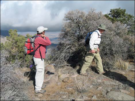 Billy Goat Peak