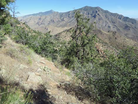 Billy Goat Peak